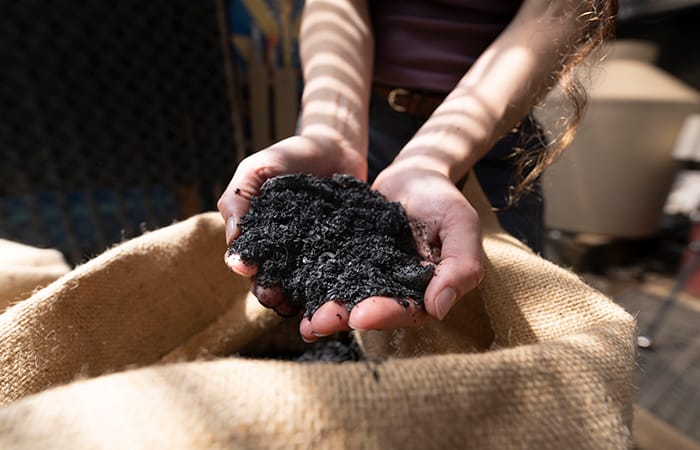 Biochar-in-hands